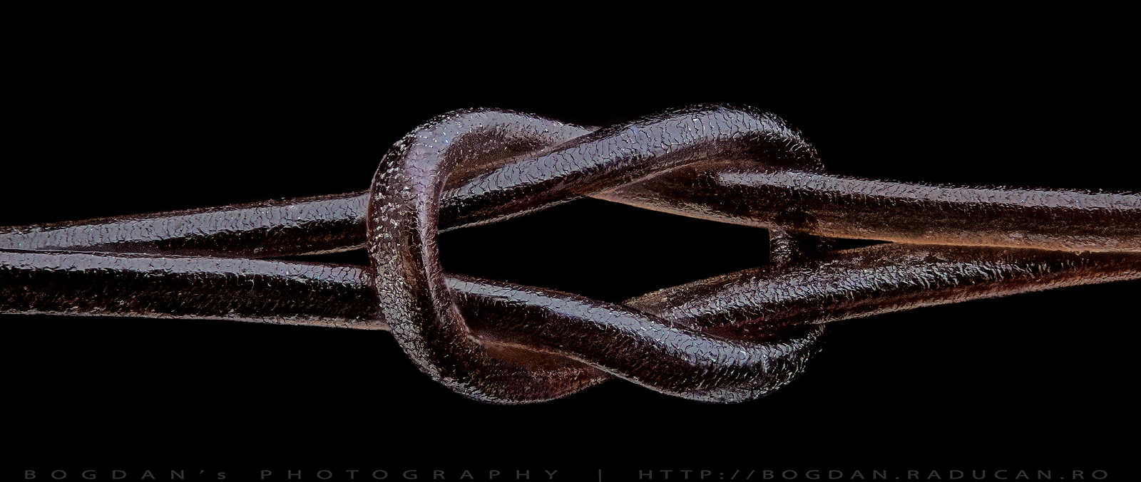 Nod dintr-un fir de par